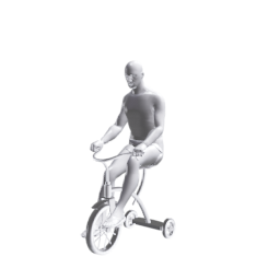 PilaTricycle