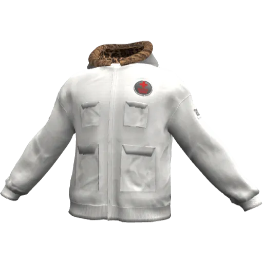 Clothing set #2482