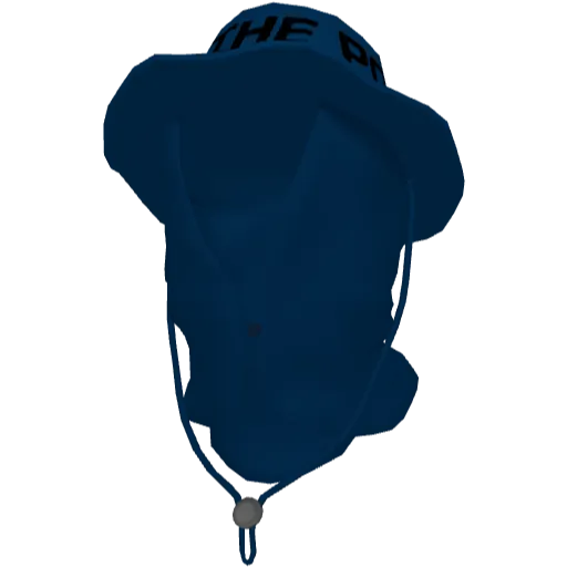 Синяя панама FTP с маской