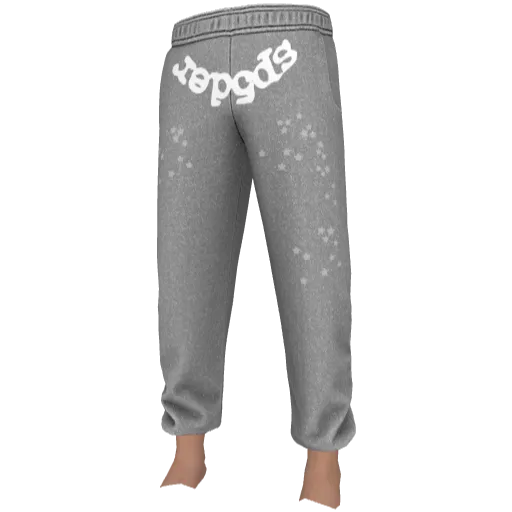 Серые штаны SP5