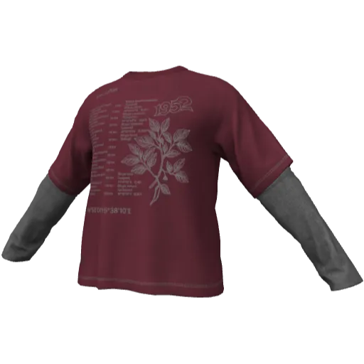 Clothing set #2545