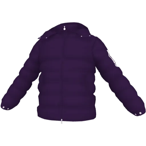 Clothing set #2485