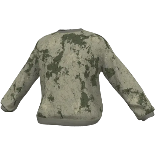 Clothing set #2511