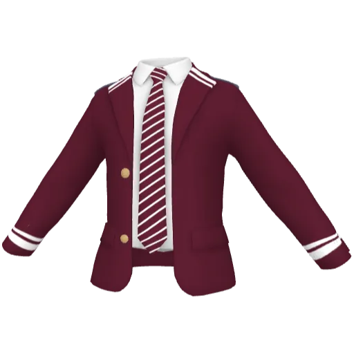 Clothing set #2455