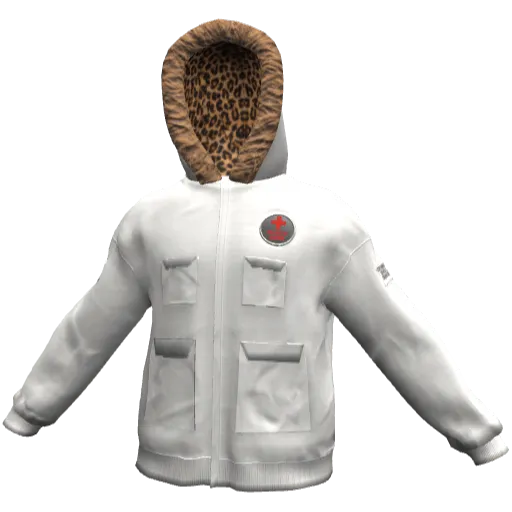 Clothing set #2481