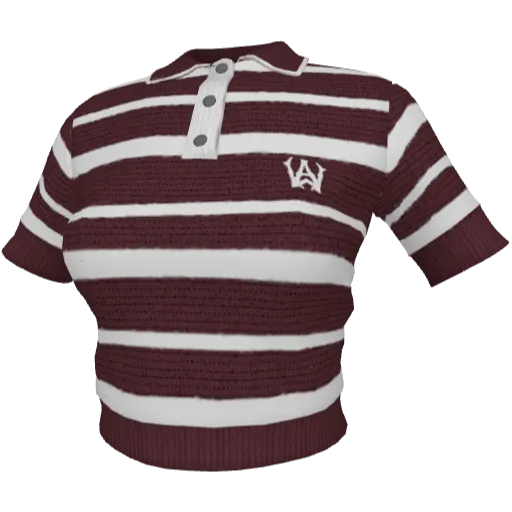 Clothing set #2511