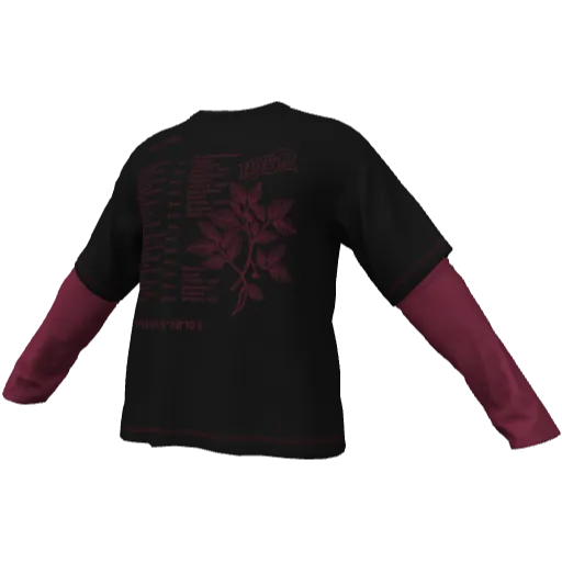 Clothing set #2545