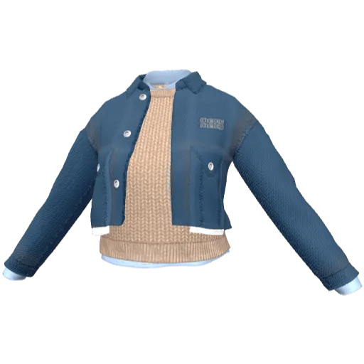 Clothing set #2465