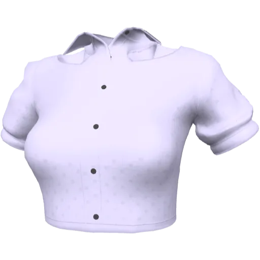 Clothing set #2448