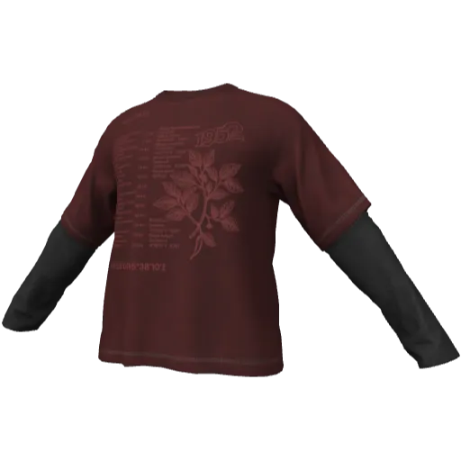 Clothing set #2545