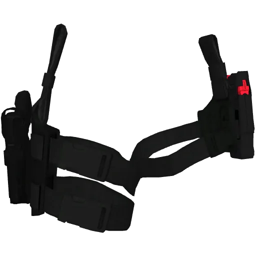 Чёрная кобура на две ноги