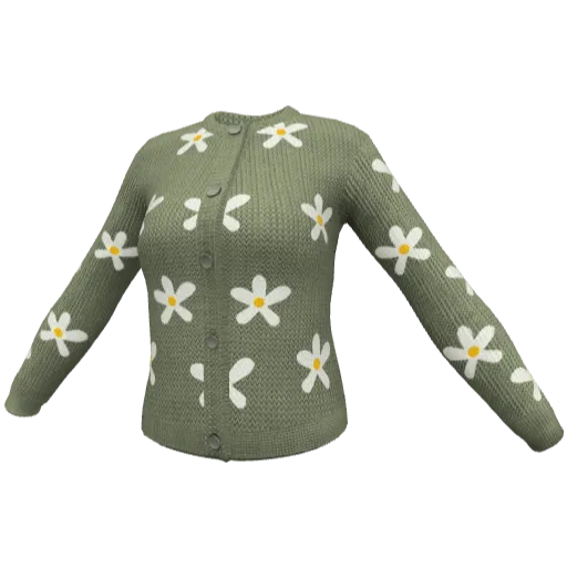 Clothing set #2481