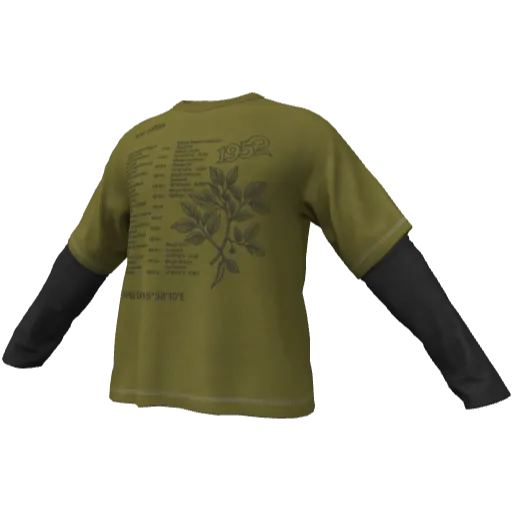 Clothing set #2545