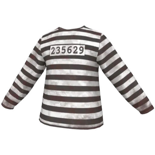 Clothing set #2473