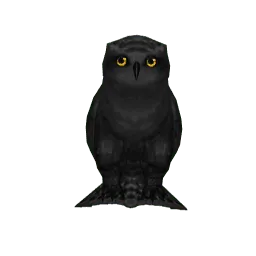 Чёрная сова