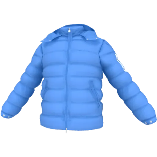 Clothing set #2485