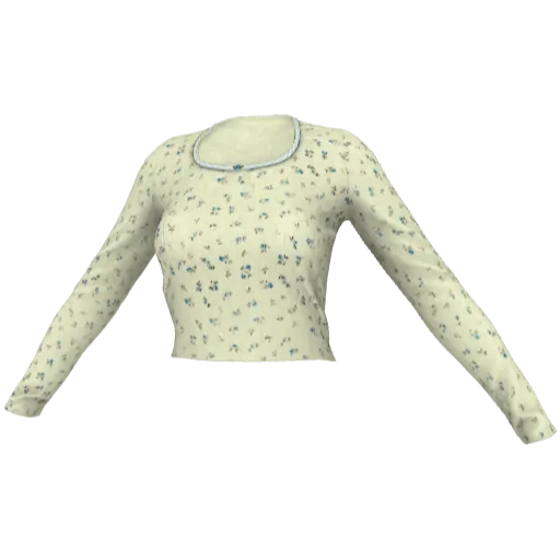 Clothing set #2510