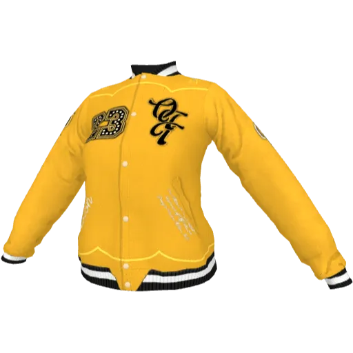 Clothing set #2429