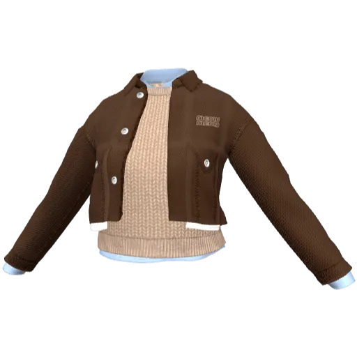 Clothing set #2465