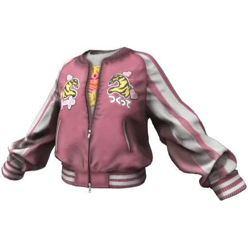 Clothing set #2541
