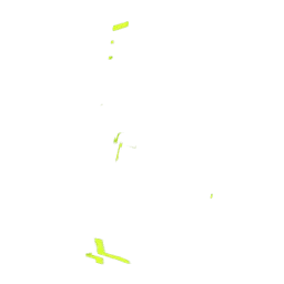 Белая кобура