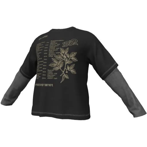 Clothing set #2545
