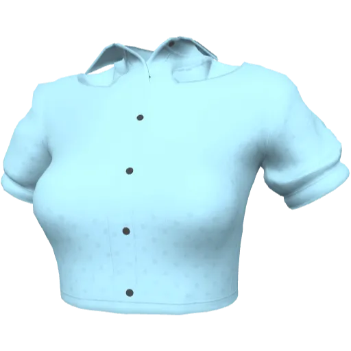 Clothing set #2448