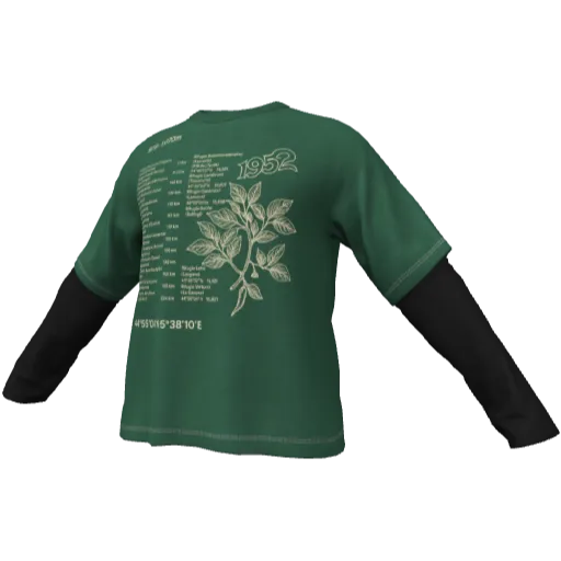 Clothing set #2545