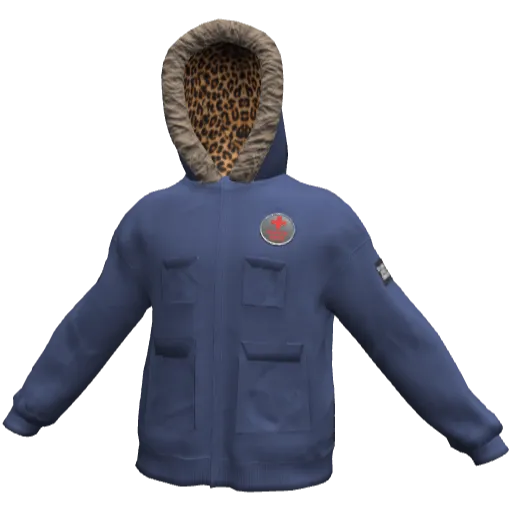 Clothing set #2481