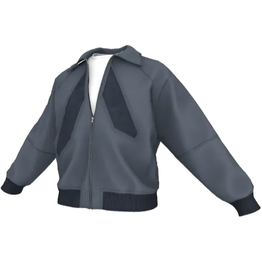 Clothing set #2533