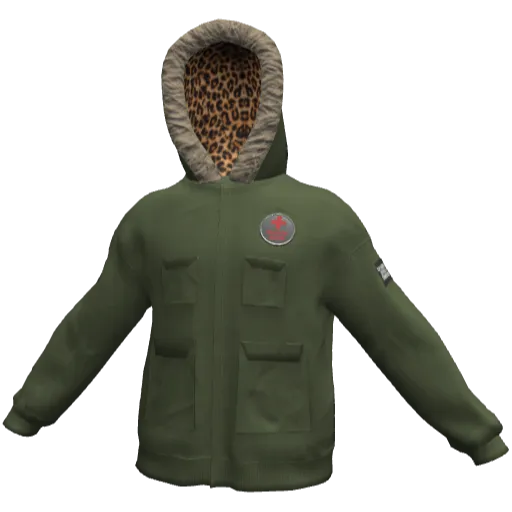 Clothing set #2481