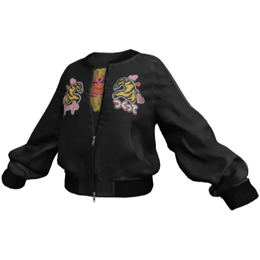 Clothing set #2541