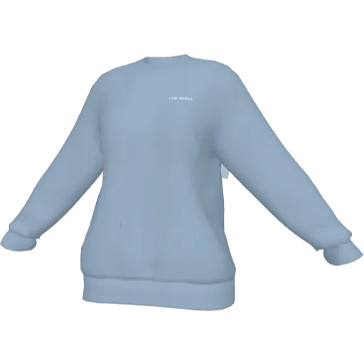 Clothing set #2441