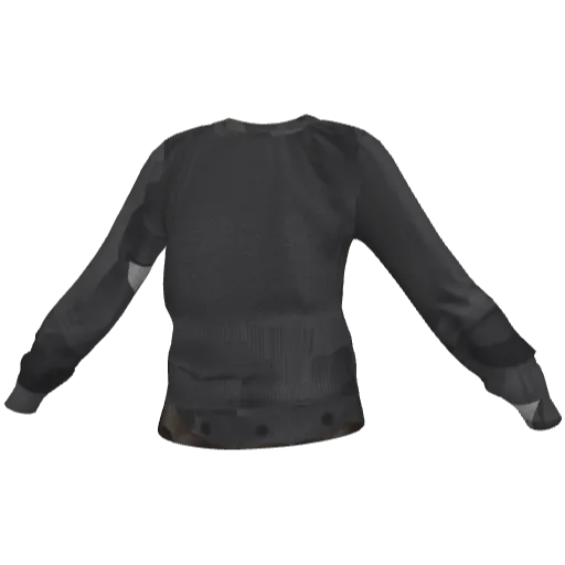 Clothing set #2493