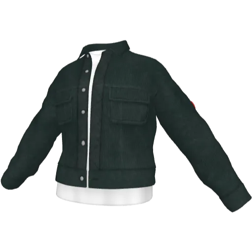 Clothing set #2535