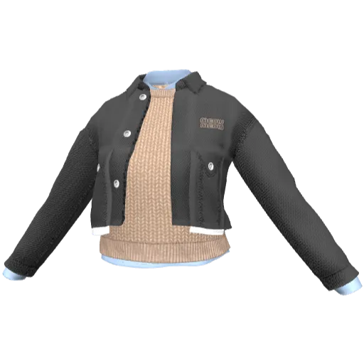 Clothing set #2465