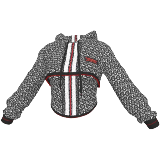 Clothing set #2501