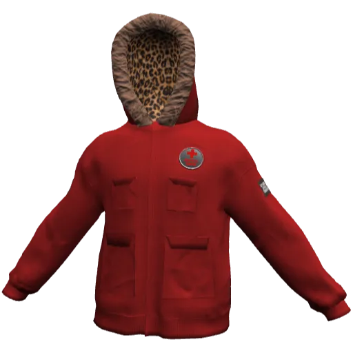Clothing set #2481