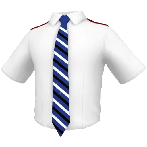 Clothing set #2453