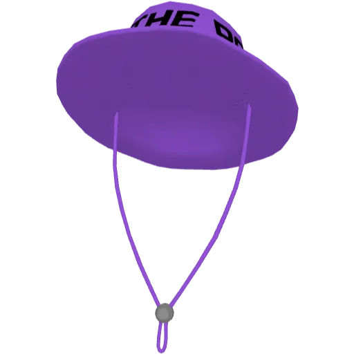 Фиолетовая панама FTP