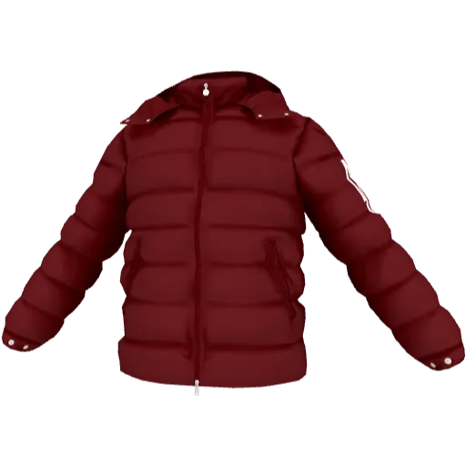 Clothing set #2485