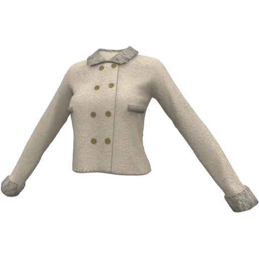 Clothing set #2488