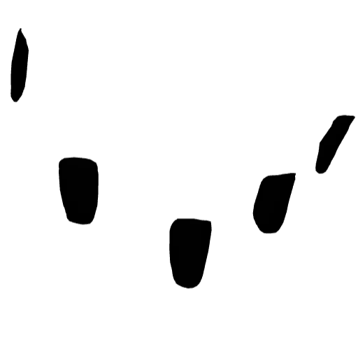 Чёрные накладные ногти