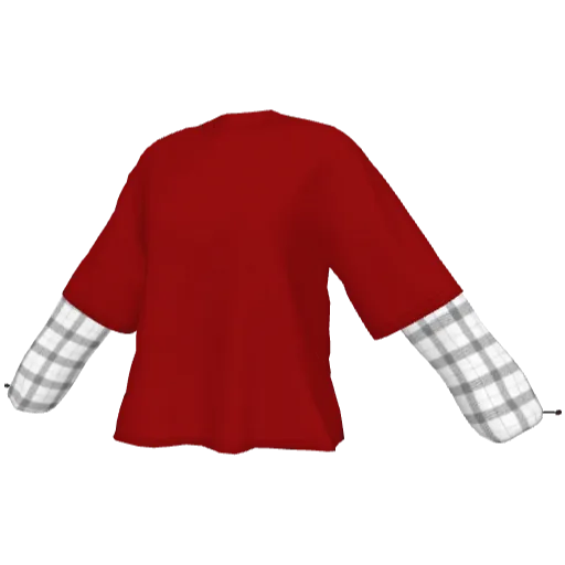 Clothing set #2433