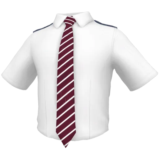 Clothing set #2453