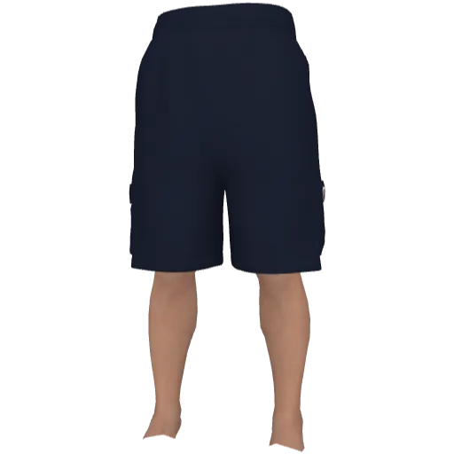 Синие шорты PABE