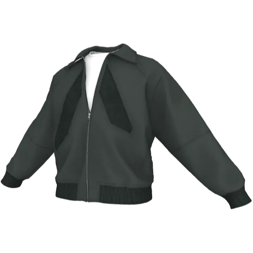 Clothing set #2533