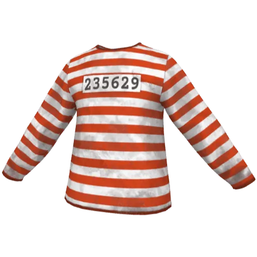 Clothing set #2473