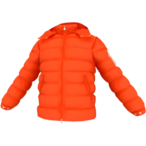 Clothing set #2485