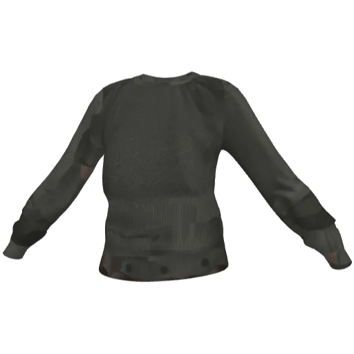 Clothing set #2493